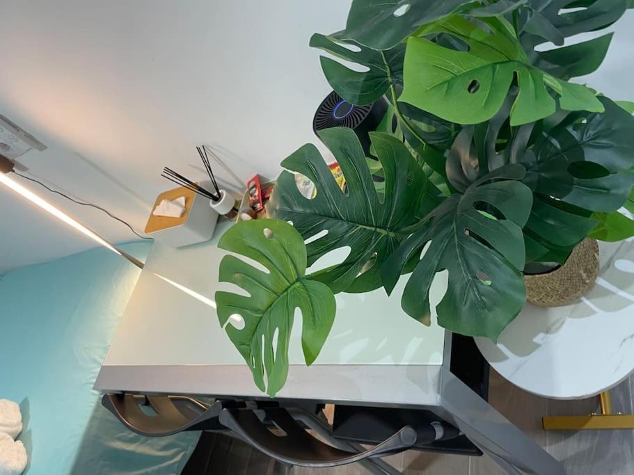 Acogedor Estudio D Junto A Metro Appartement Madrid Buitenkant foto